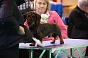 Crufts2011_2 559